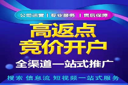 推广竞价中的关键词选择与优化——案例分析